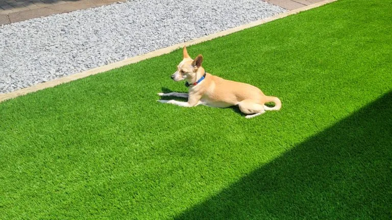 pet turf pricing