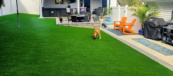 Chris K. - Dog Turf Installation In Havertown, PA