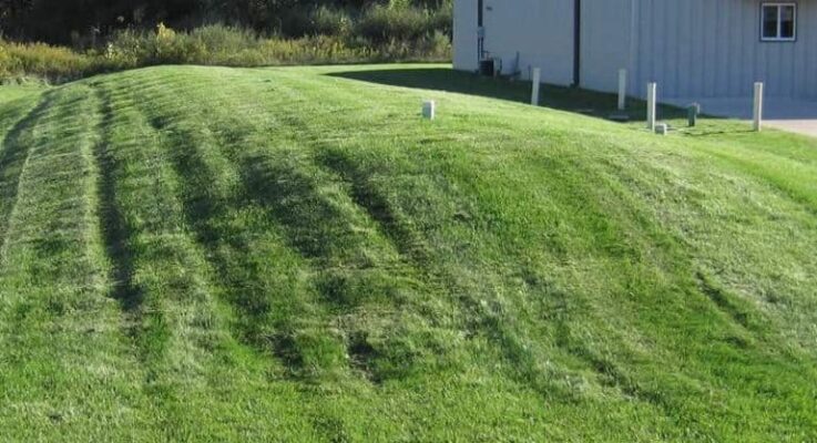 Micro Mound Septic System: Pros/Cons Guide, Cost, Specifications