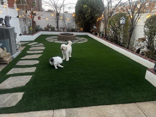 Artificial Grass Installation