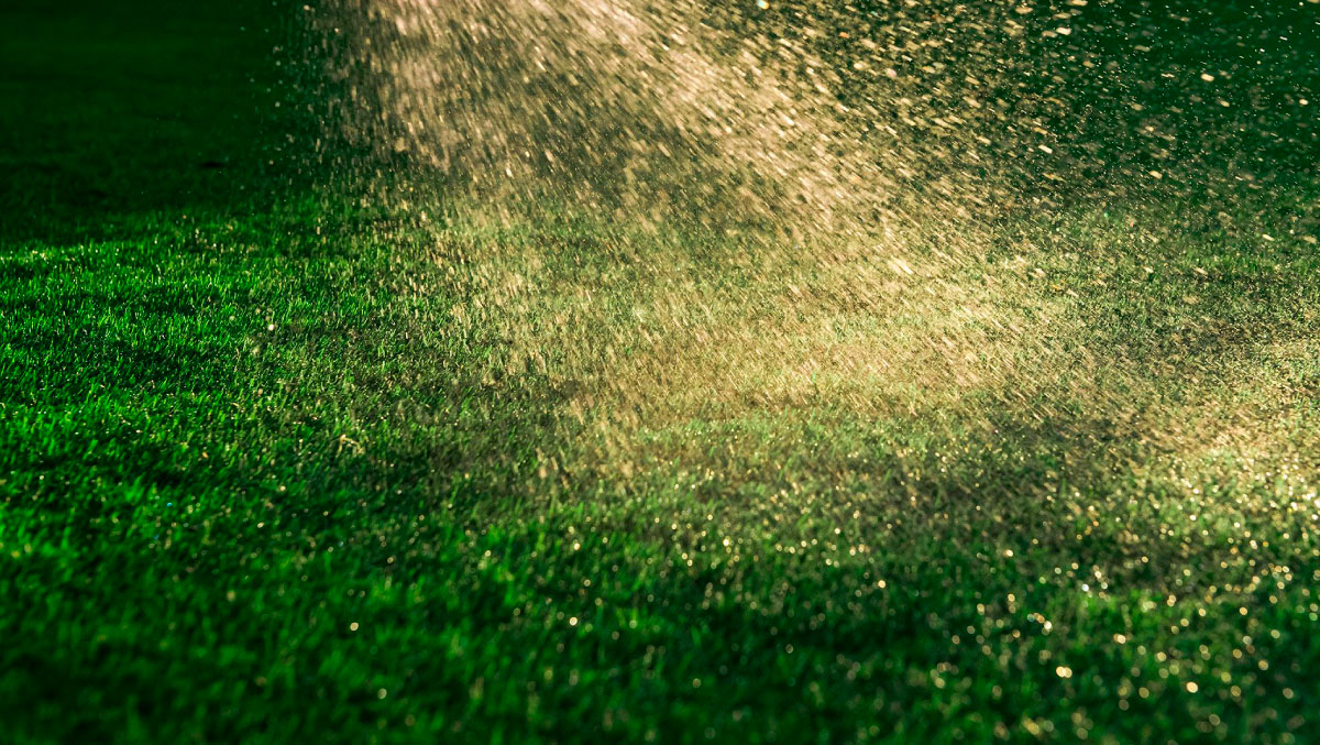 how to clean turf grass