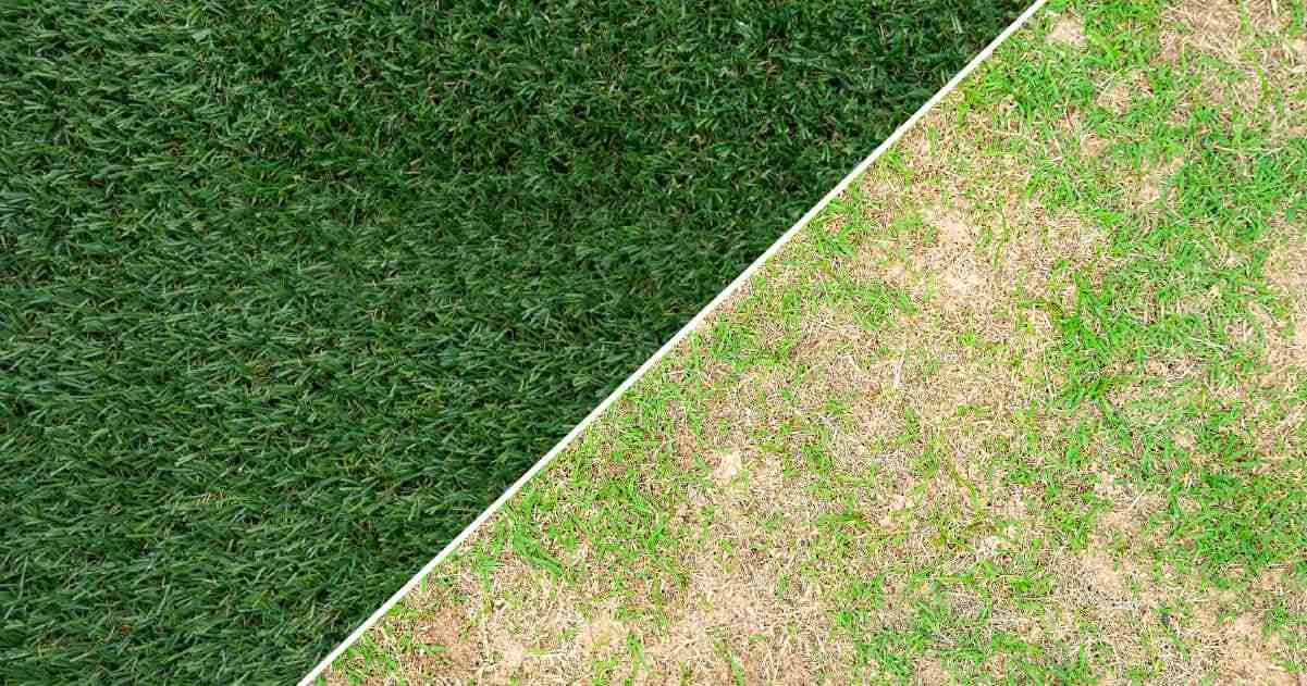 Synthetic Turf vs. Natural Grass,Artificial Turf vs. Natural Grass turf vs artificial grass