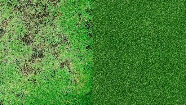 Synthetic Turf vs. Natural Grass,Artificial Turf vs. Natural Grass turf vs grass