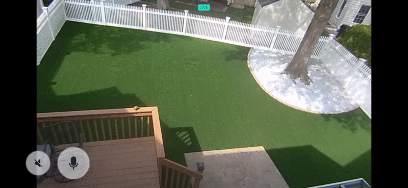 Artificial Turf Dog Yard in East Norriton, PA