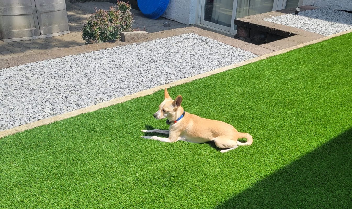 artificial turf installation