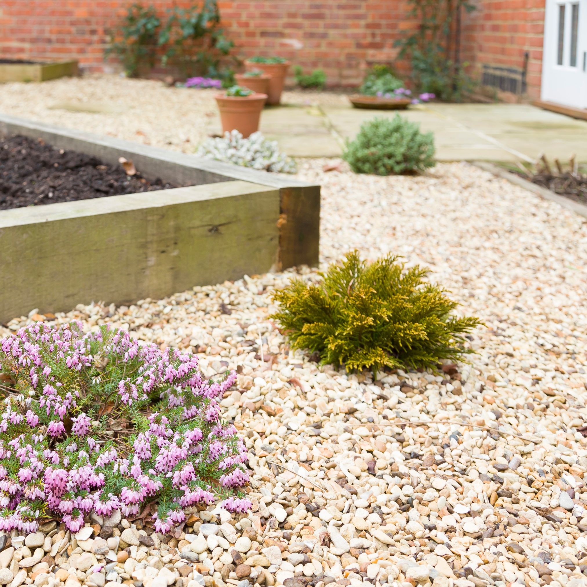 Pea Gravel pea stone gravel