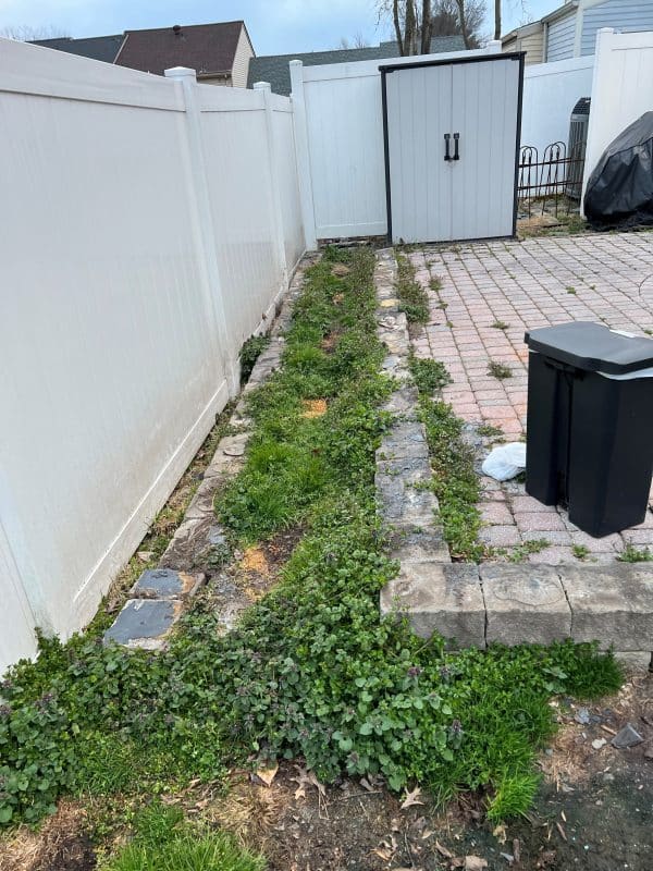 a backyard before adding an Outdoor Dog Turf Pad