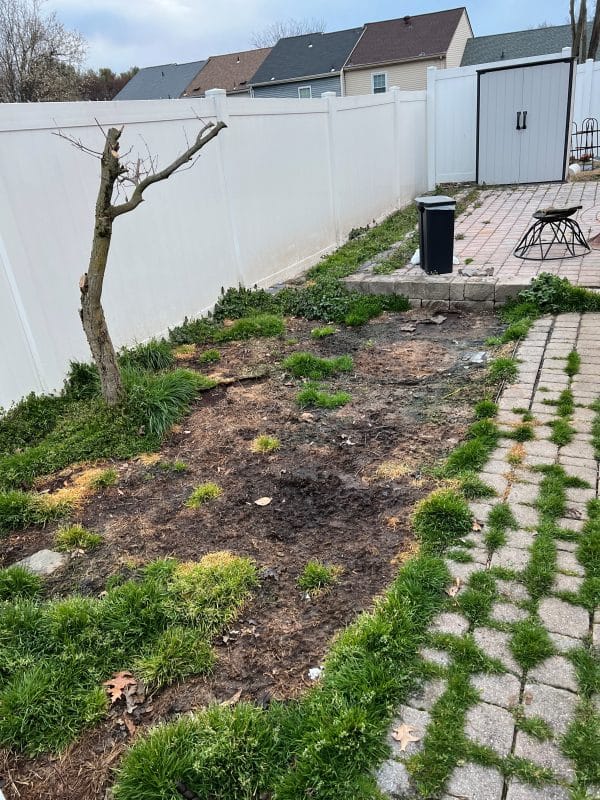 Artificial Grass Installer old tree in unkept yard before installing an Outdoor Dog Turf Pad