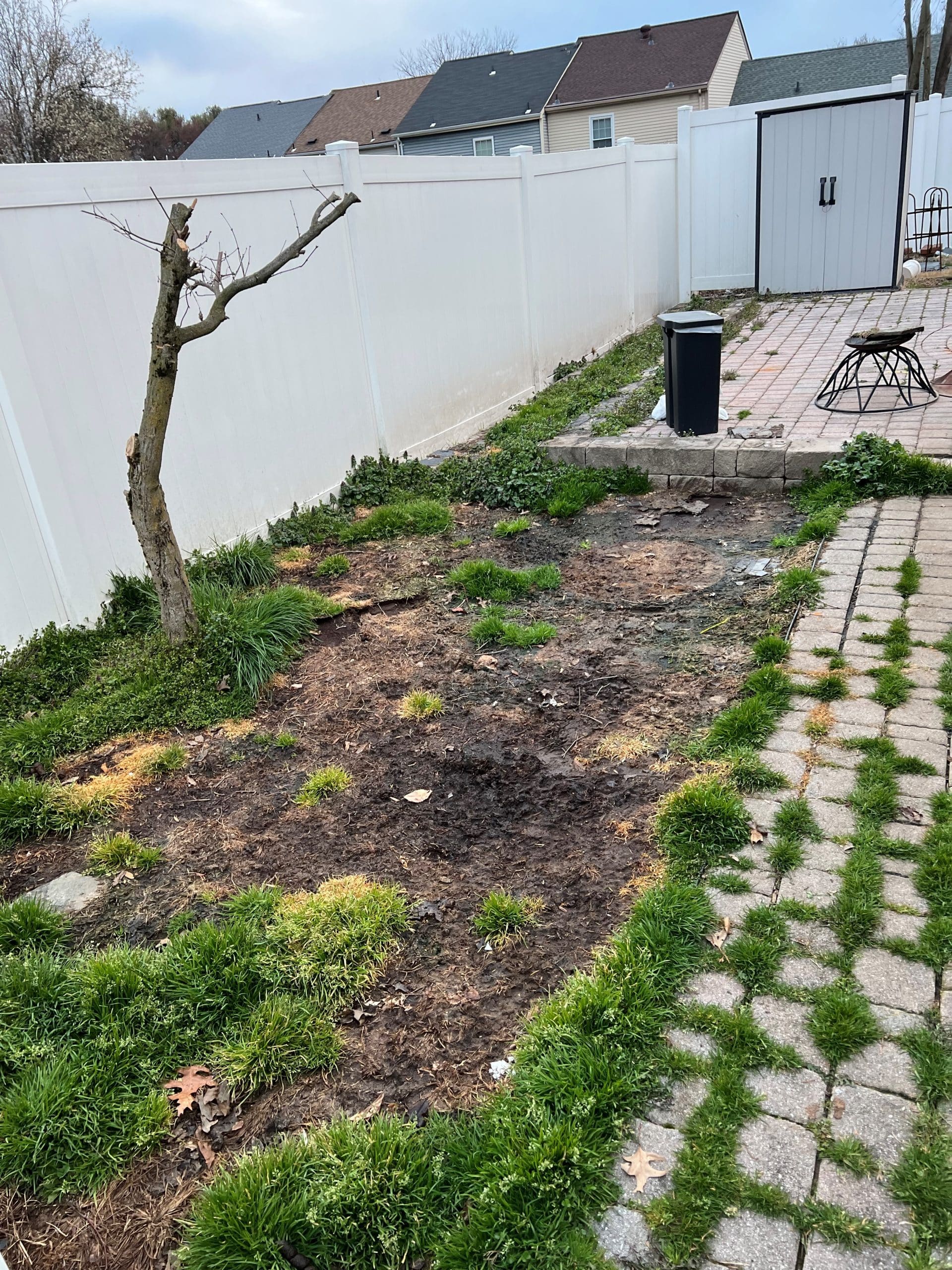 old tree in unkept yard before installing an Outdoor Dog Turf Pad