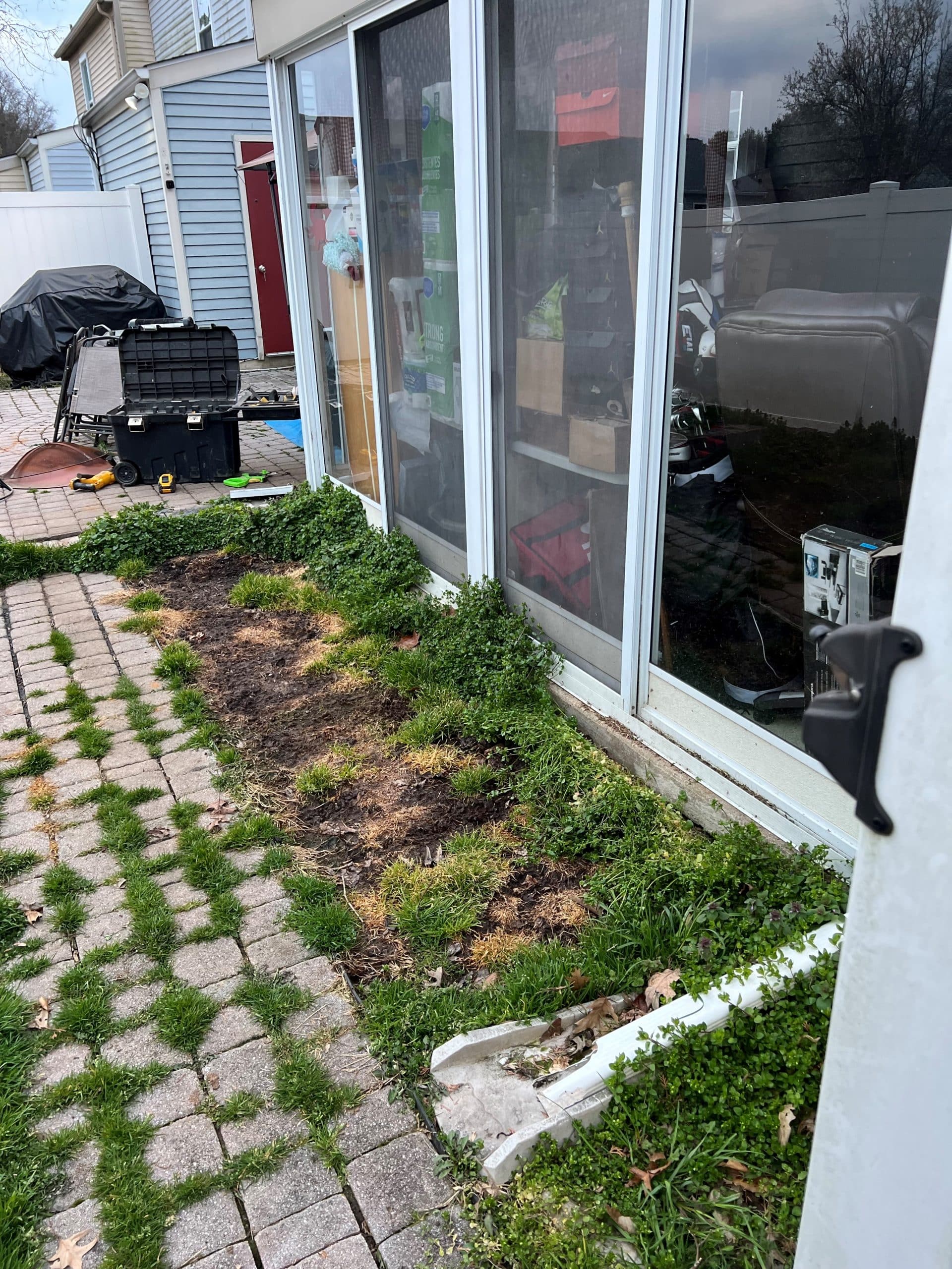 a closeup of a overgrown backyard before installing a Outdoor Dog Turf Pad